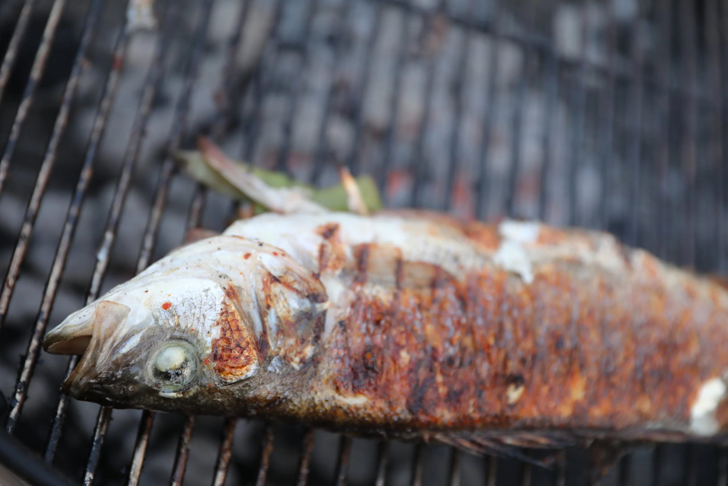 Best Electric Smoker For Fish