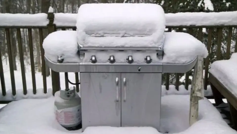 Best Electric Smoker For Cold Weather